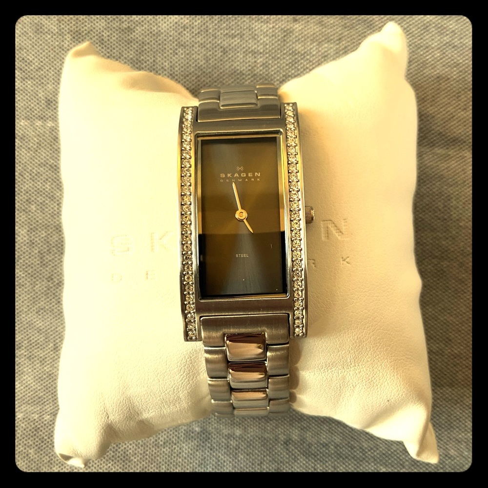 Skagen Wristwatch